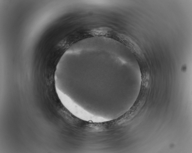 X0000116440763201001191532