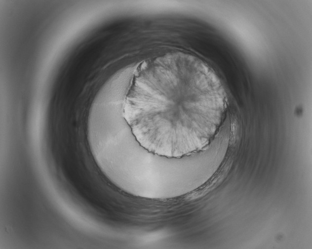 X0000116440765201001191532