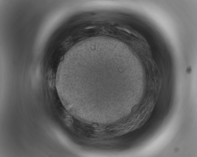 X0000116440766201001191532