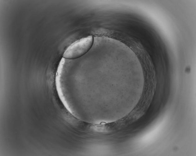 X0000116440767201001191532