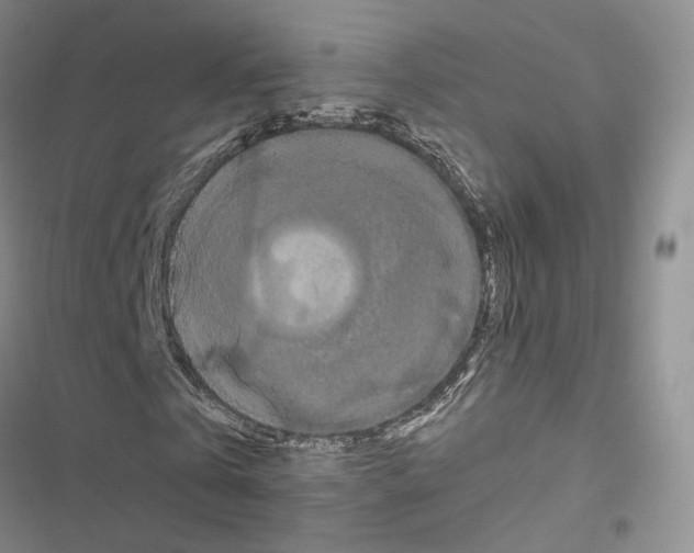 X0000116440769201001191531