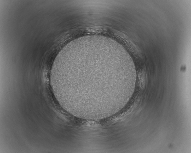 X0000116440770201001191531