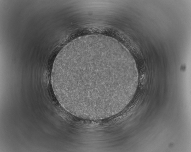 X0000116440772201001191531