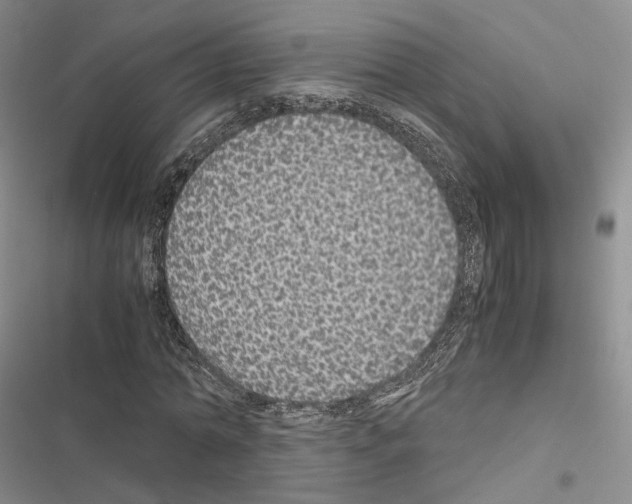 X0000116440774201001191531