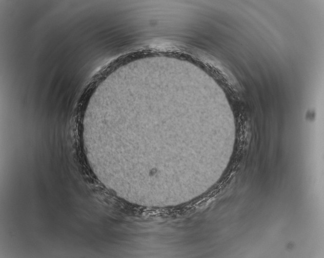 X0000116440776201001191531