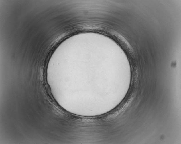 X0000116440777201001191531