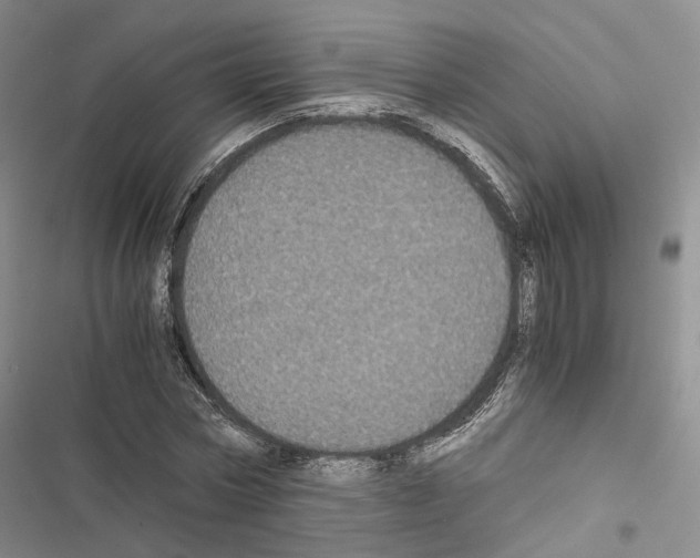 X0000116440778201001191531