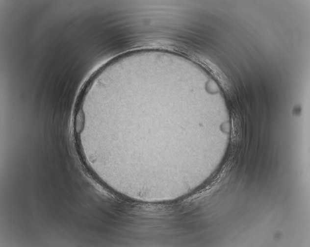 X0000116440780201001191531