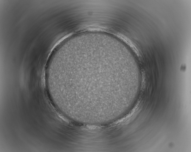 X0000116440782201001191531