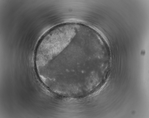 X0000116440783201001191531