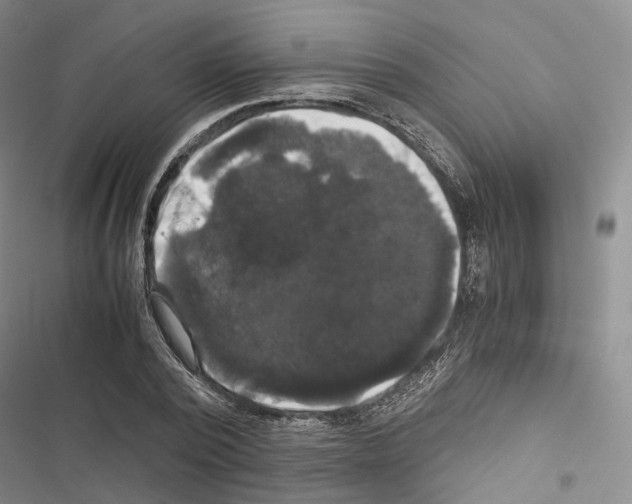 X0000116440784201001191531