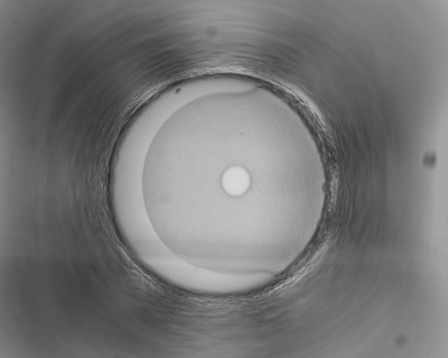 X0000116440785201001191531