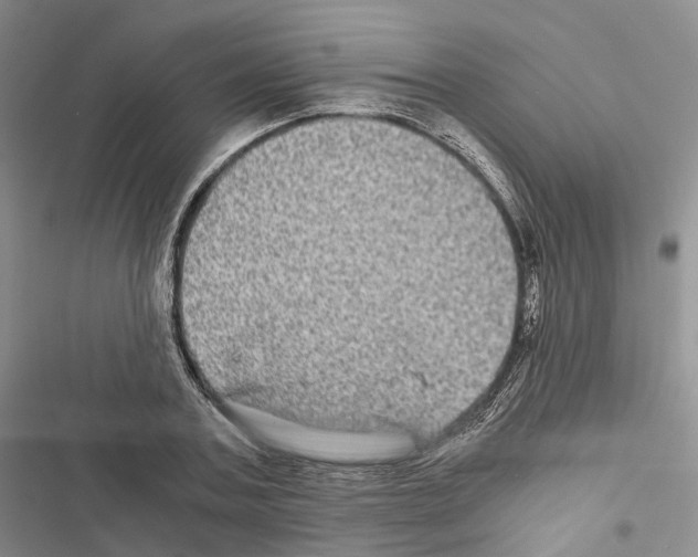 X0000116440787201001191531