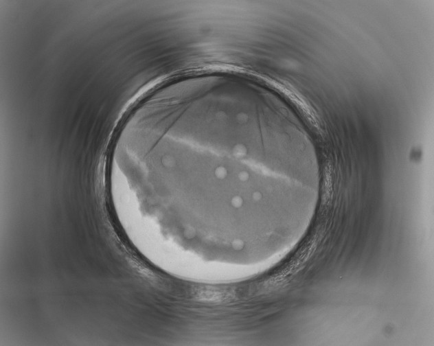 X0000116440790201001191531