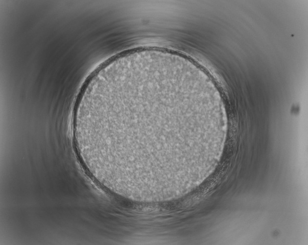 X0000116440791201001191531