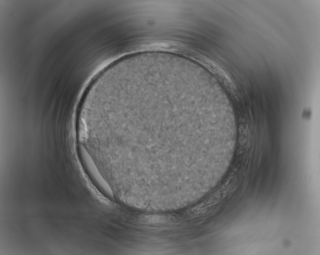 X0000116440792201001191531