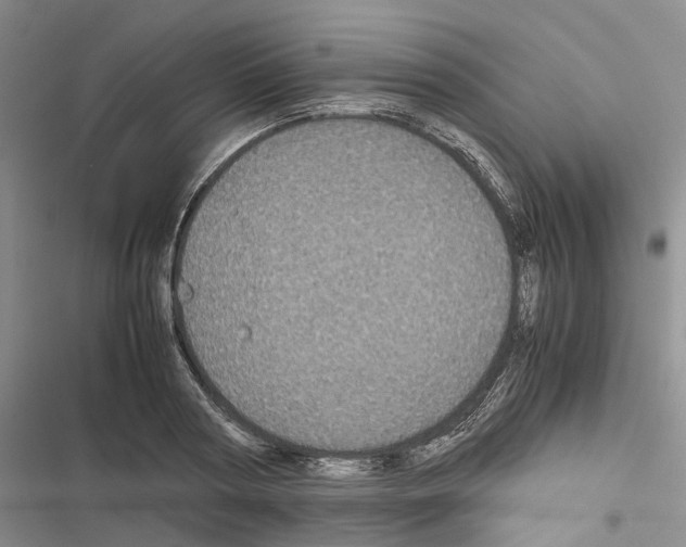 X0000116440794201001191531