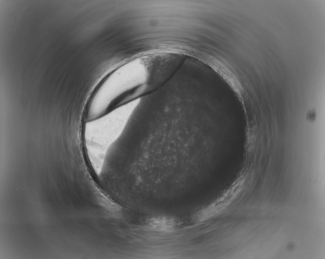 X0000116440797201001191531