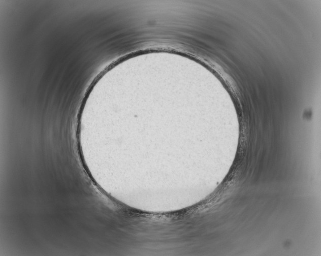 X0000116440799201001191531