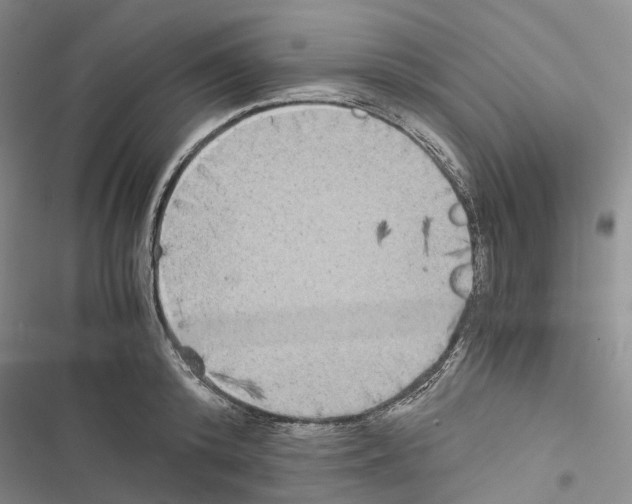 X0000116440800201001191531