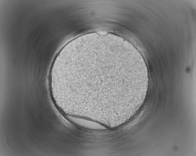 X0000116440803201001191530