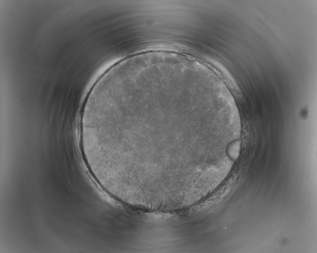 X0000116440804201001191530