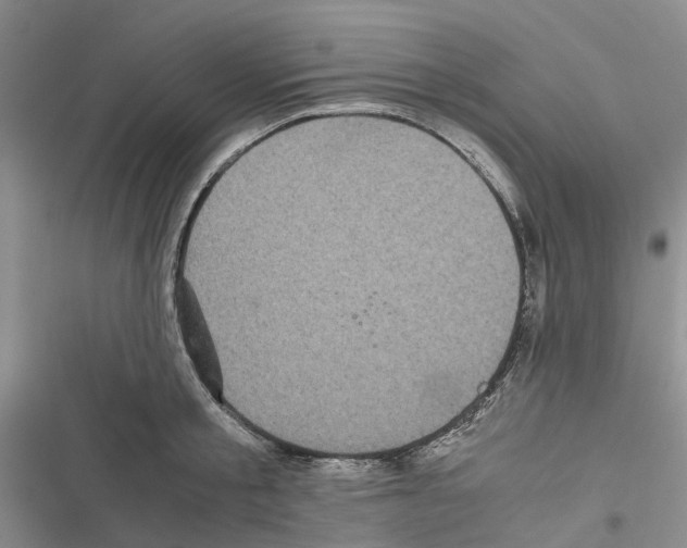 X0000116440805201001191530