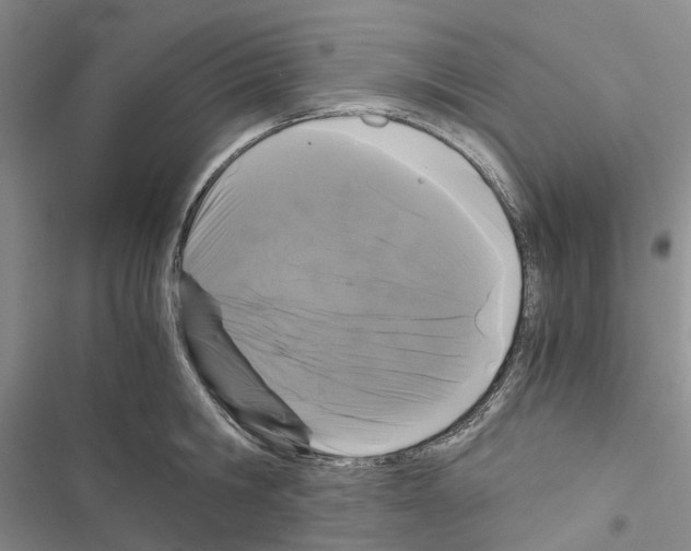 X0000116440806201001191530