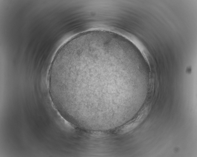 X0000116440807201001191530