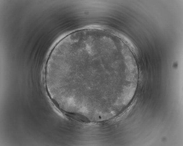 X0000116440808201001191530