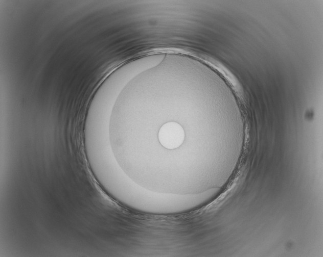 X0000116440809201001191530