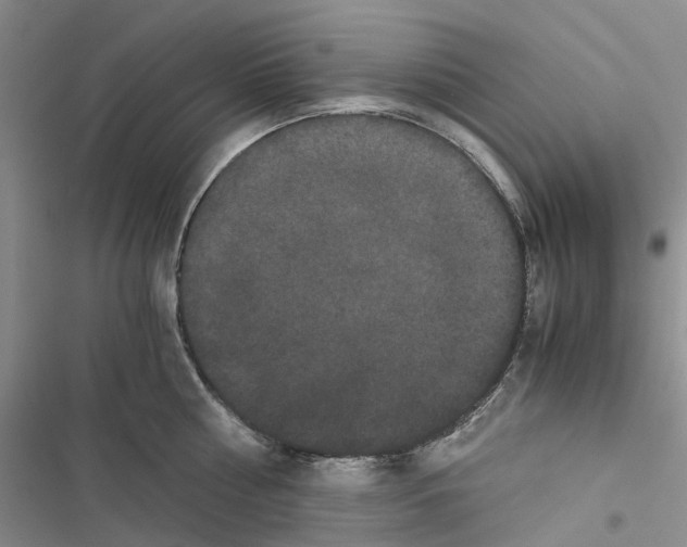 X0000116440810201001191530