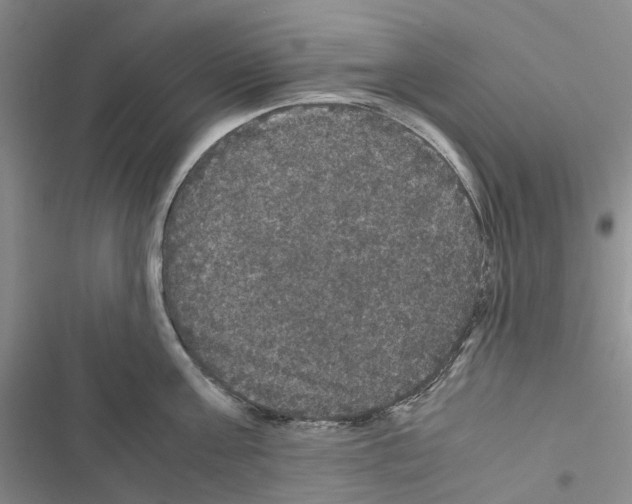 X0000116440811201001191530