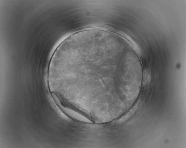 X0000116440812201001191530