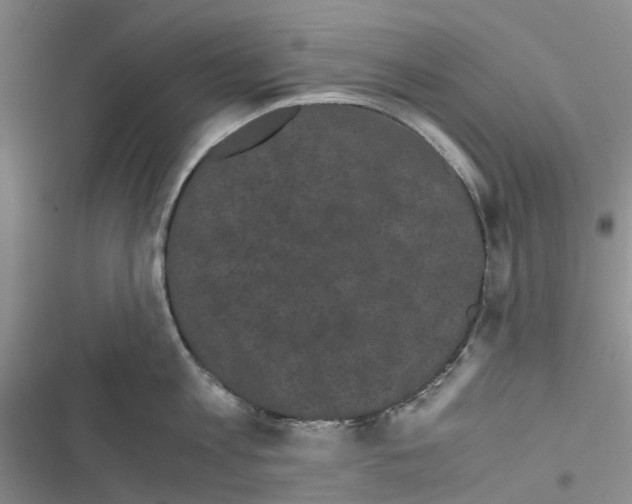 X0000116440813201001191530