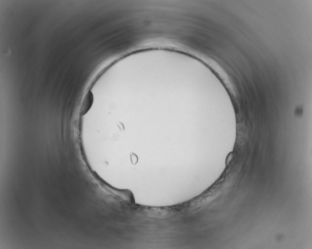 X0000116440815201001191530