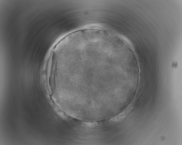 X0000116440816201001191530