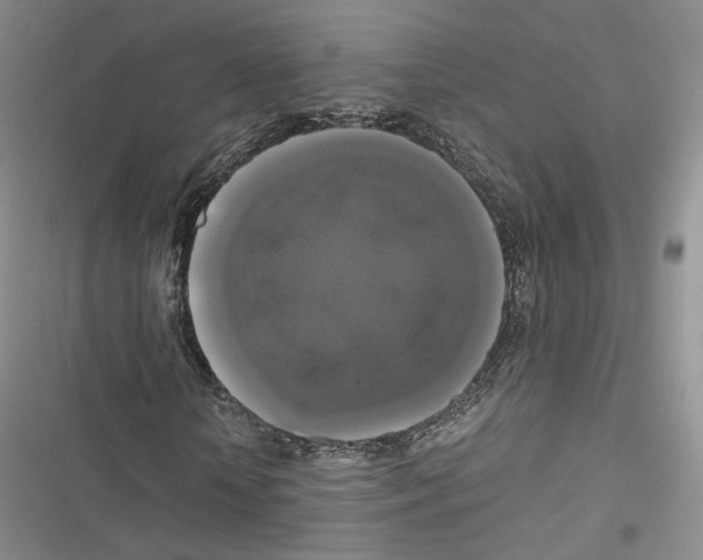 X0000116440818201001191530