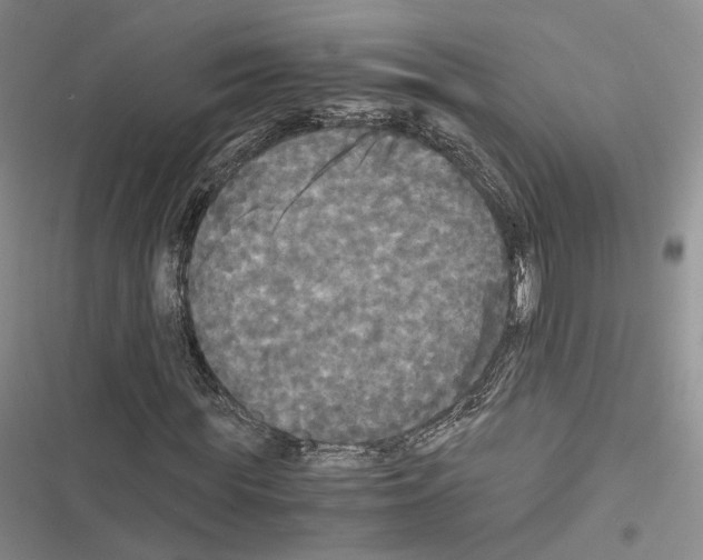 X0000116440819201001191530