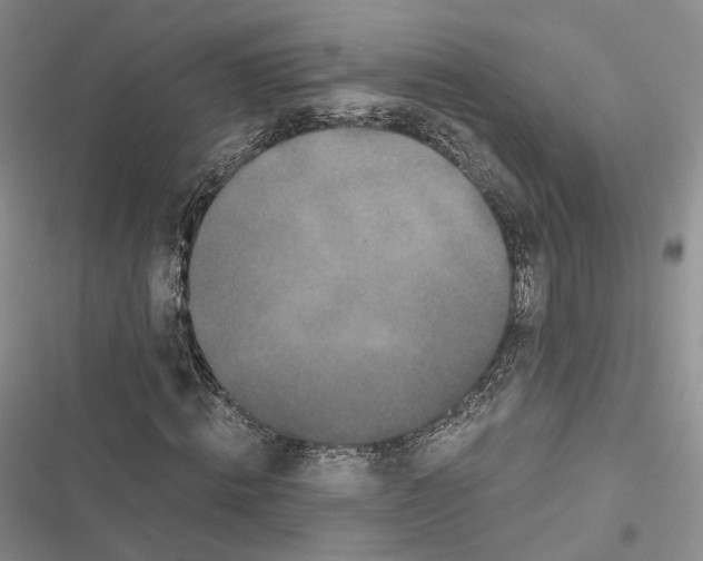 X0000116440820201001191530