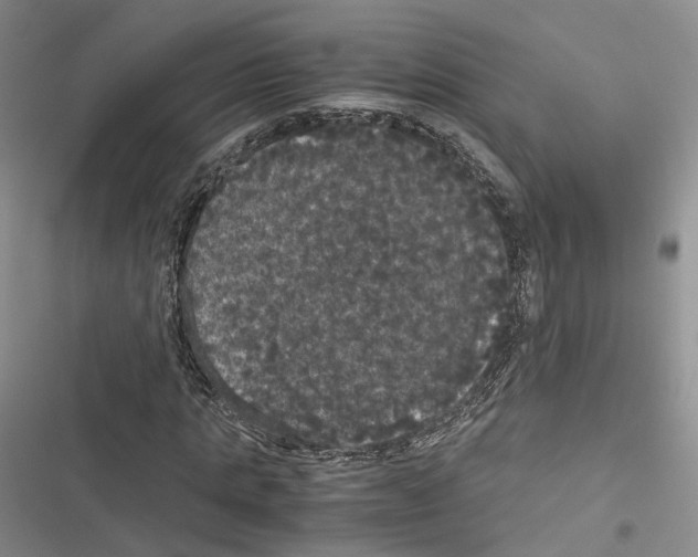 X0000116440821201001191530