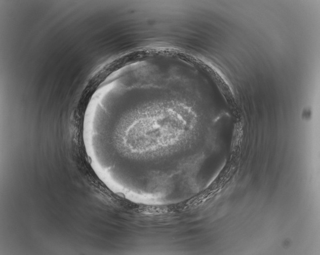 X0000116440823201001191530