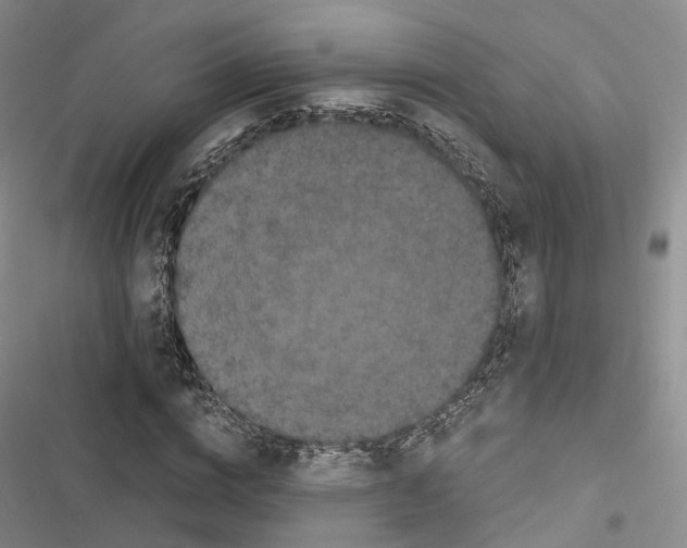 X0000116440824201001191530