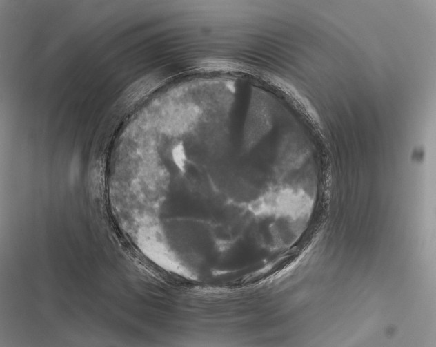 X0000116440825201001191530