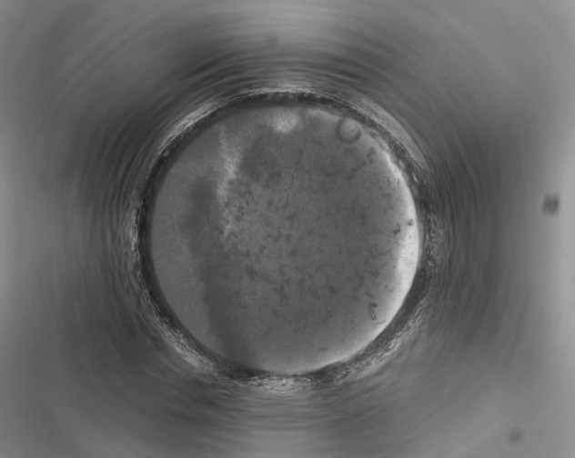 X0000116440826201001191530