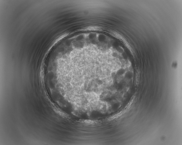 X0000116440827201001191530