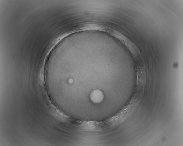 X0000116440828201001191530