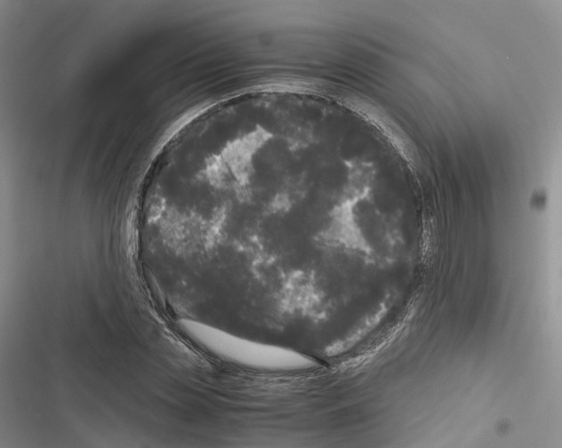 X0000116440829201001191530