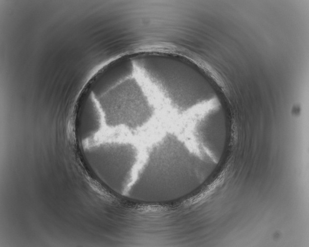 X0000116440830201001191530