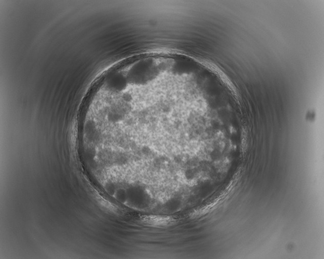 X0000116440831201001191530